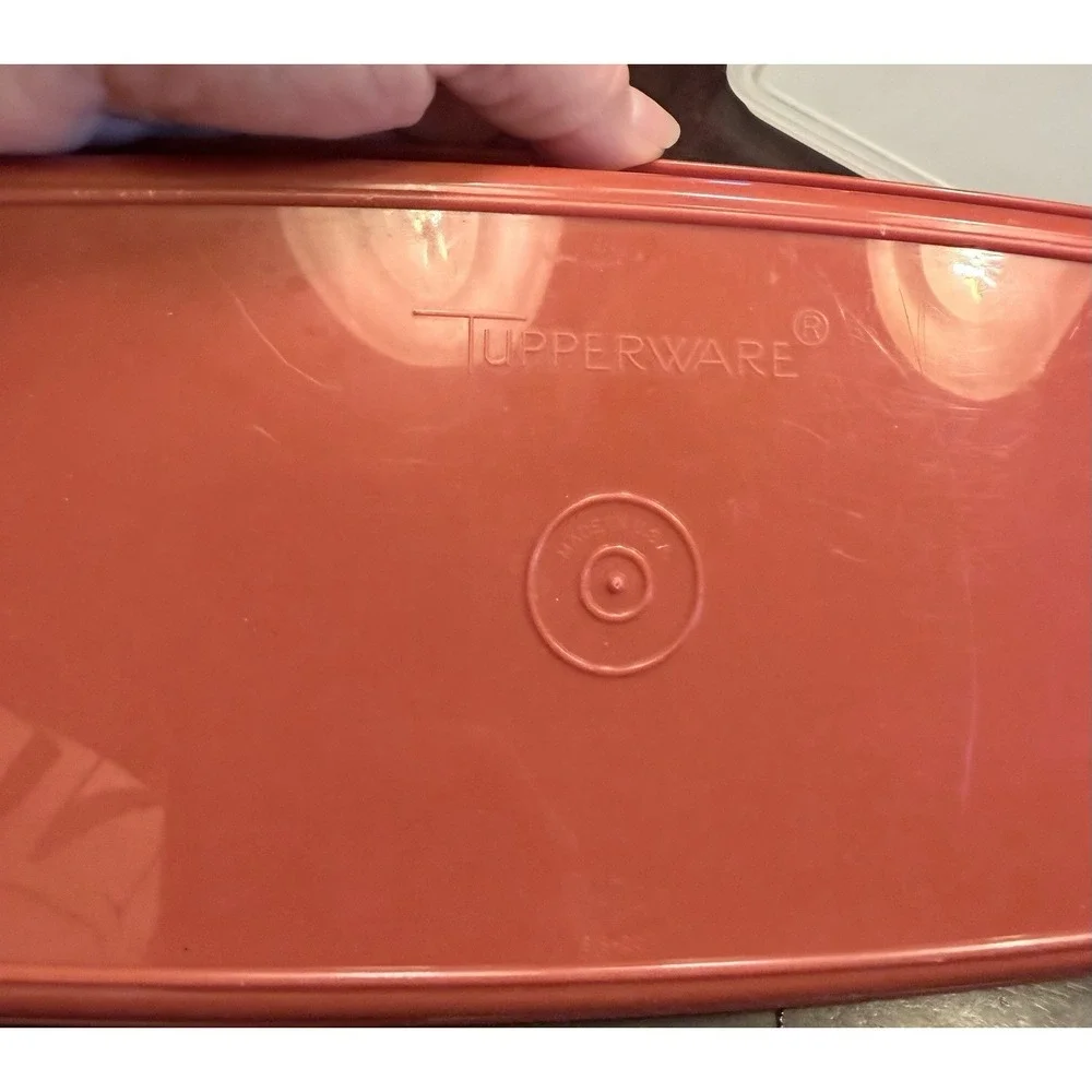 vintage Tupperware Paprika Cold Cut Keeper 816–20 5x9